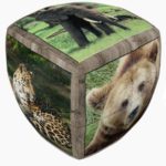 Zar Animale salbatice - 2 rinduri V-cube