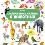 Cartea copilul despre animale CLEVER