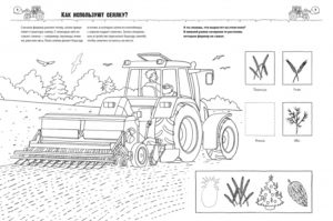 Cum? Pentru ce? De ce? Colorat. Transport la ferma CLEVER - imagine 3