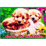 Album p/u desen 12 foi Brisk