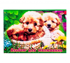 Album p/u desen 12 foi Brisk