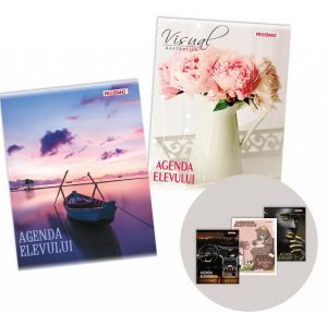 Agenda elevului color Prostand cu lac/3D