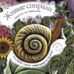 Spiralele Vii Kariera Press