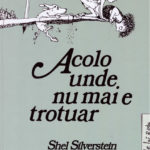 Acolo unde nu mai e trotuar. Shel Silverstein. [Vlad si Cartea cu Genius] Arthur