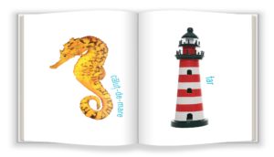 Bebe Cunoaste. Marea. GAMA. - imagine 2