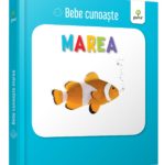 Bebe Cunoaste. Marea. GAMA.