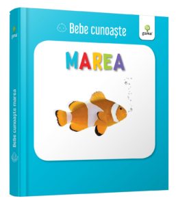 Bebe Cunoaste. Marea. GAMA.