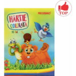 Hirtie colorata 10 foi Prostand