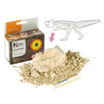 Set arheologic T-REX Wild Republic