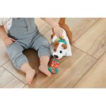 Jucaria Fisher Price Catalus- Taraste-te cu mine MATTEL - imagine 2