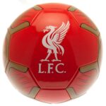 Minge Liverpool FC PHI