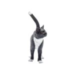 Figurina Pisica asezata Schleich