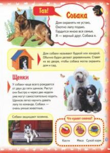 Prima mea carte. Despre animale de companie - imagine 4