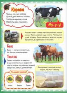 Prima mea carte. Despre animale de companie - imagine 3