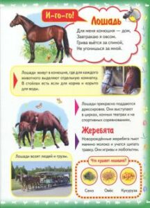 Prima mea carte. Despre animale de companie - imagine 2