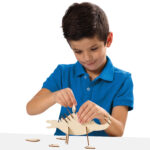 Set creatie - Dinozaur 3D SES - imagine 4