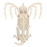 Decor - Skelet Gargoyle (24 x 24.5 cm) BOLAND - imagine 2
