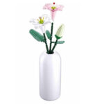 Constructor LILIE, Sluban