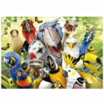 Puzzle - 500 Watch The Birdie EDUCA - imagine 2