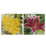 Pictura cu diamante Set 2 Felicitari, 13x13cm - La Multi Ani! In asort. Grafix - imagine 3