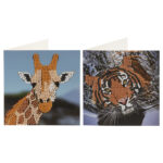 Pictura cu diamante Set 2 Felicitari, 13x13cm - La Multi Ani! In asort. Grafix - imagine 5