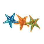 Jucarie de plus stea de mare 20 cm Wild Republic