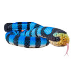 Jucarie de plus Sarpe de mare albastu negru 137cm Wild Republic