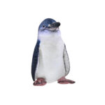 Jucarie de plus Pinguin albastru 38cm Wild Republic