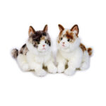 Jucarie de plus Motanas Norvegian 26 cm LELLY