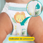 PAMPERS JP 38 (7) - imagine 4