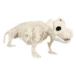 Decorare pentru Halloween schelet caine 50 x 15 x 17 cm BOLAND