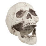 Decorare pentru Halloween craniu 16 x 14 x 21 cm BOLAND — изображение 2