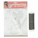 Planse A4 colorat pe numere cu 5 creioane colorate dublu capat GRAFIX