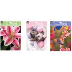 Pictura Diamant Pe Carton A4 in asort. GRAFIX