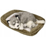 Jucarie interactiva  Pisicuta tabby gri Perfect Petzzz