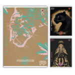 Caiet A4 "Jaguar" 48 foi, matematica Yes