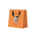 Punga pentru cadou - I Am Your Gift Mini OHH DEER
