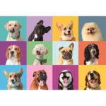 Puzzle Fete de caini 300 piese CLEMENTONI - imagine 2